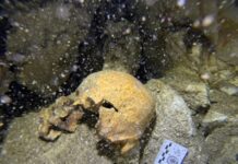Va INAH por la conservación y el rescate de los restos de una mujer milenaria en cenote de Playa del Carmen