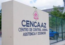 Persiste baja adopción de mascotas en el CENCAAZ de Playa del Carmen