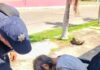 Denuncian vecinos chetumaleños abandono de anciana en colonia ‘Barrio Bravo’