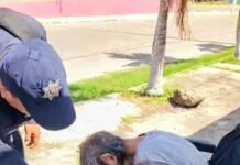 Denuncian vecinos chetumaleños abandono de anciana en colonia ‘Barrio Bravo’