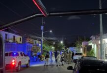 Van 12 detenidos de una célula criminal que operaba en Tierra Maya