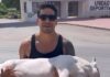 Envenenan perro en la Unidad Deportiva de Tulum; Fiscalía ya investiga