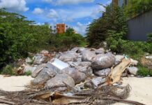 En proceso de ser multados, dueños de 10 predios baldíos en Playa del Carmen