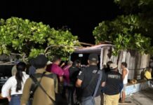 YUCATÁN | Profepa clausura cinco predios por daños ambientales en reservas de Celestún y Ría Lagartos
