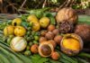 Frutas tradicionales dejan de consumirse en la Zona Maya, alertan