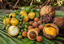Frutas tradicionales dejan de consumirse en la Zona Maya, alertan