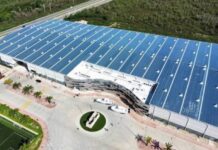 YUCATÁN | Semarnat autoriza parque solar en Tekax con más de 91 mil paneles; exige consulta indígena y medidas para proteger fauna