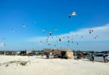 YUCATÁN | Piden frenar desarrollo inmobiliario en dunas de Chuburná; habitantes lanzan petición para proteger la zona