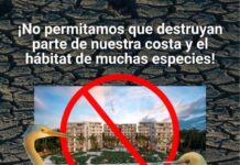 YUCATÁN | Prestadores turísticos de Chuburná se deslindan de proyecto inmobiliario en zona de dunas