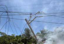 FATAL ACCIDENTE EN CARRETERA: Mueren dos en choque a la altura de Xel Ha