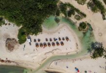 Busca CMIC participar en licitación para rehabilitación del acceso a Punta Esmeralda en Playa del Carmen