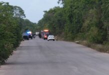 Balean a tres supuestos albañiles en un fraccionamiento en construcción en Playa del Carmen