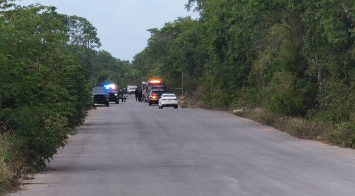Balean a tres supuestos albañiles en un fraccionamiento en construcción en Playa del Carmen
