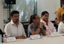 MOLESTIA DE AUTORIDADES CON CFE: Ayuntamiento de Playa del Carmen acusa a la paraestatal de incumplir con limpieza y mantenimiento urbano