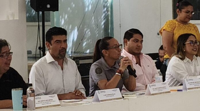 MOLESTIA DE AUTORIDADES CON CFE: Ayuntamiento de Playa del Carmen acusa a la paraestatal de incumplir con limpieza y mantenimiento urbano