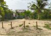 Lanzan campaña de firmas para proteger el predio Chenzubul como área de conservación en Playa del Carmen