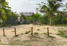 Lanzan campaña de firmas para proteger el predio Chenzubul como área de conservación en Playa del Carmen