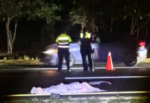 Muere peatón tras ser atropellado en la carretera federal 307, en Playa del Carmen