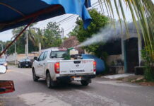 José María Morelos se mantiene sin casos confirmados de dengue: Vectores