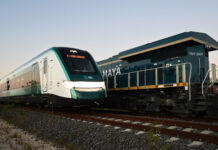 Advierte SelvameMX efectos dañinos del Tren Maya de Carga