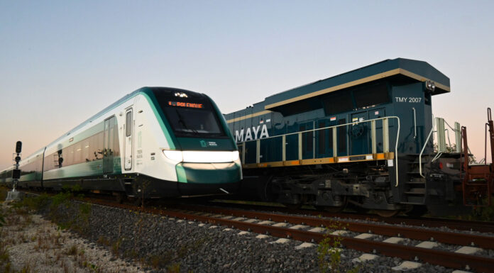 Advierte SelvameMX efectos dañinos del Tren Maya de Carga